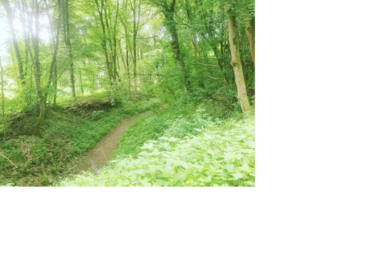 Aussergewoehnliche Auszeit - Metime1 Felsberg Extérieur photo